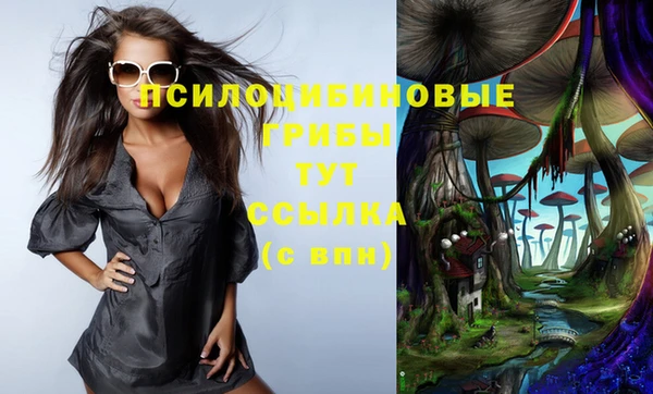 винт Покровск