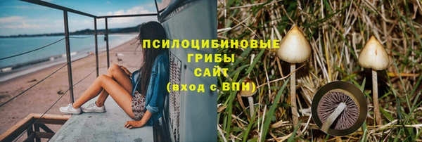 MESCALINE Переславль-Залесский