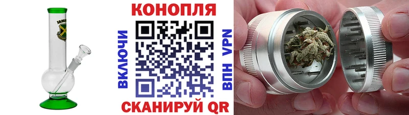 Купить где  Гусиноозёрск  Бошки марихуана SATIVA & INDICA 
